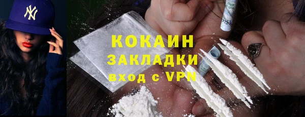 хмурый Алексин