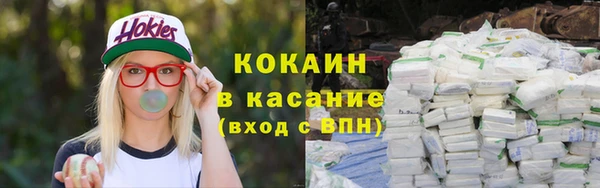 хмурый Алексин