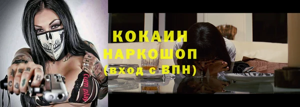 хмурый Алексин