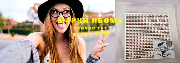 хмурый Алексин