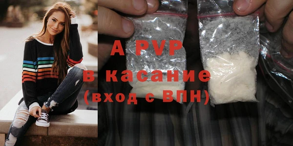 хмурый Алексин